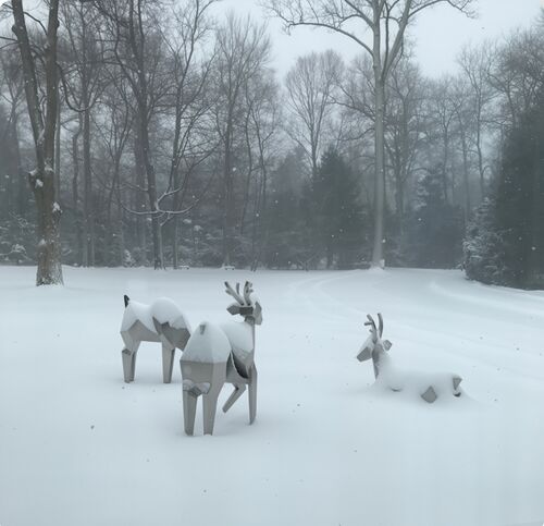 Jüngste Firmenblogs über Die kristalline Herde: Wo Natur und Geometrie aufeinander treffen