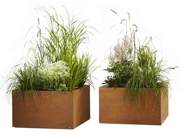 Ein guter Preis. Zeitgenössische Metallpflanzer-großes Blumen-Töpfe Corten-Stahl-Material Online