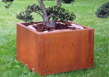 Ein guter Preis. Packen Sie Stahlpflanzer Form Corten für im Freien/Garten/allgemeine Dekoration ein Online