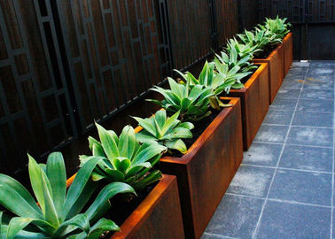 Ein guter Preis. Kundengebundene quadratische Metallpflanzer Corten im Freien eine materielle 50cm Höhe Online